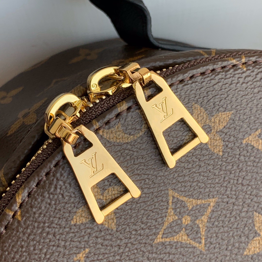 l**is V*t*n monogram backpack pm