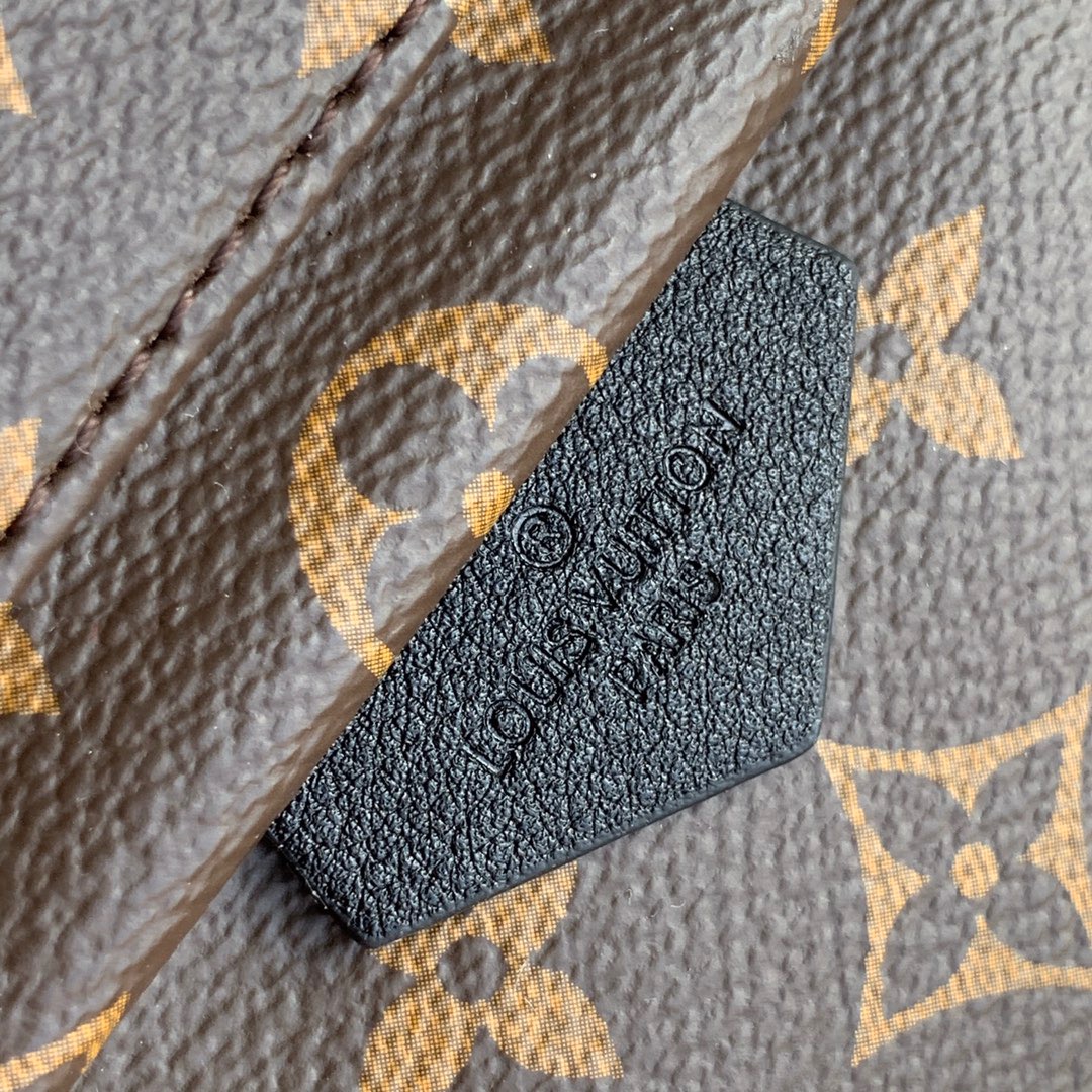 l**is V*t*n monogram backpack pm