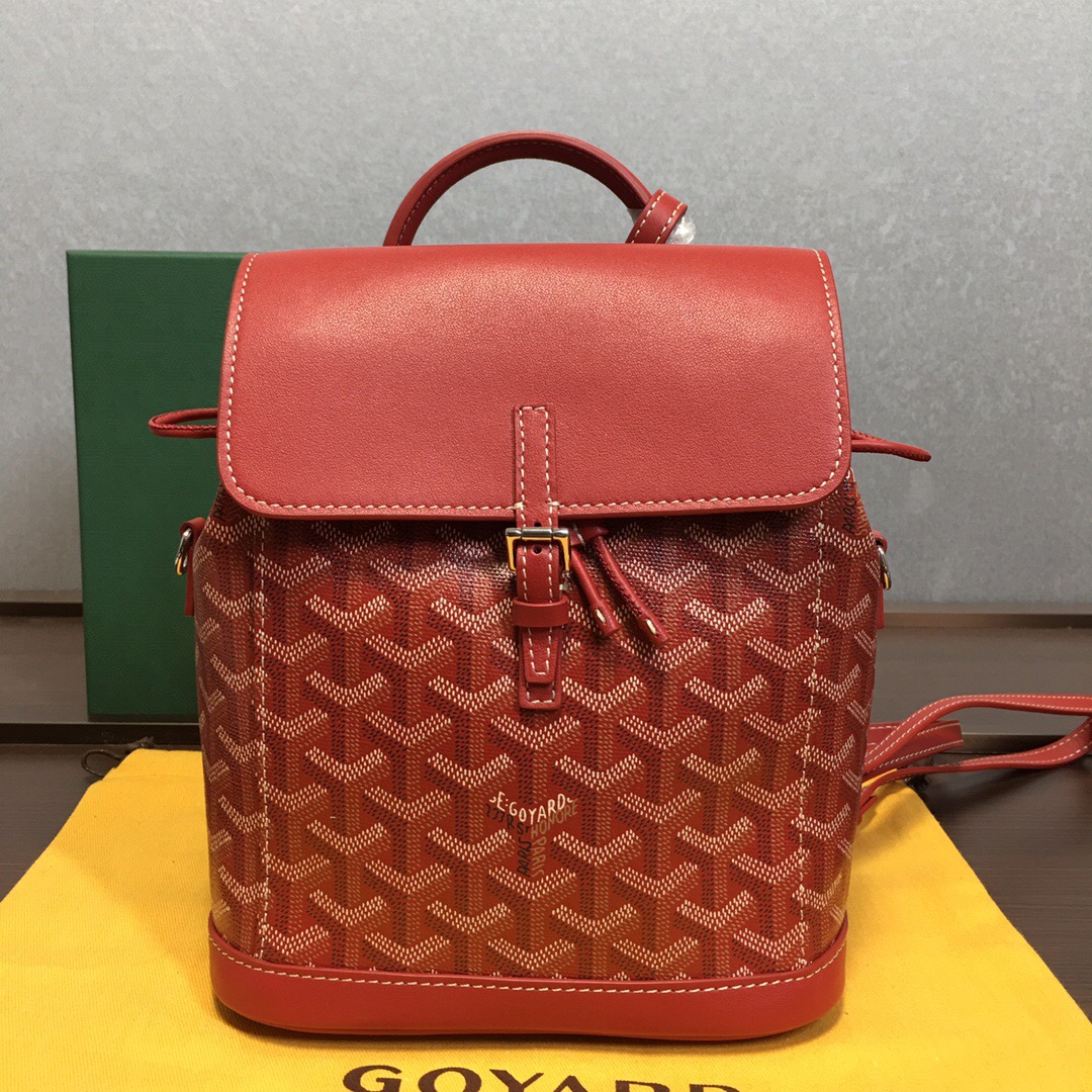 Go*ard backpack