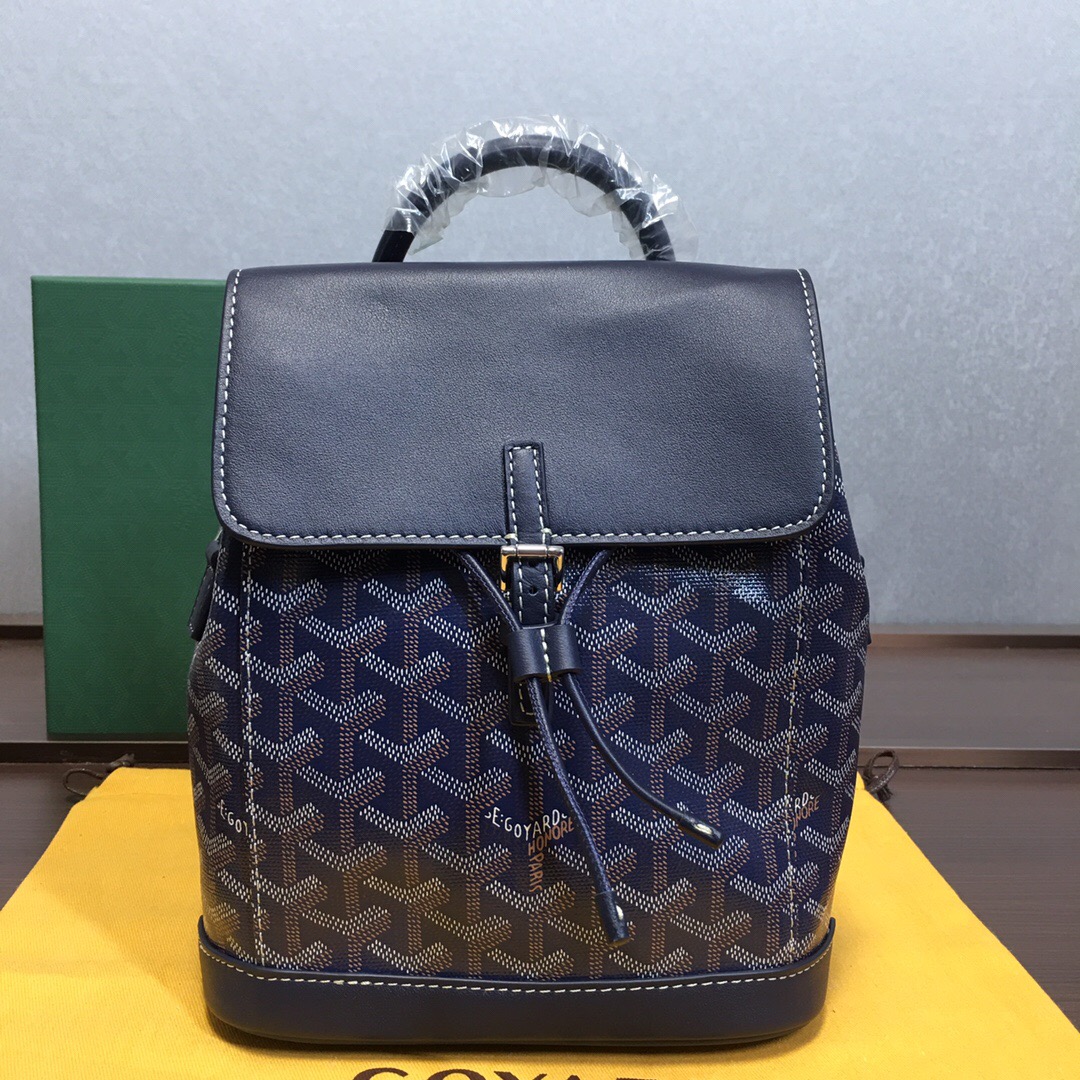 Go*ard backpack