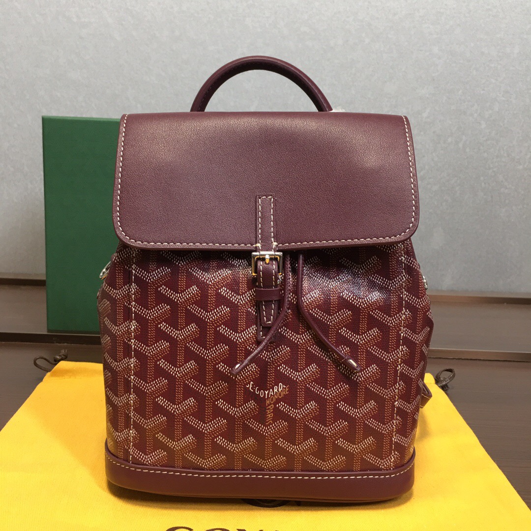 Go*ard backpack