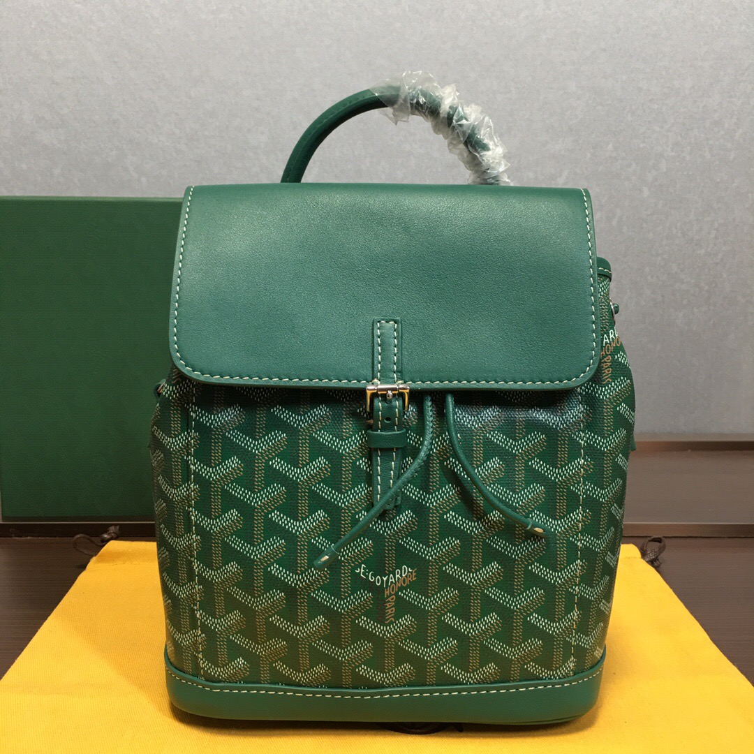 Go*ard backpack
