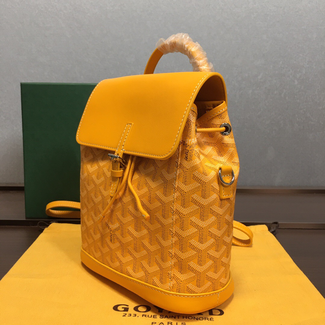 Go*ard backpack