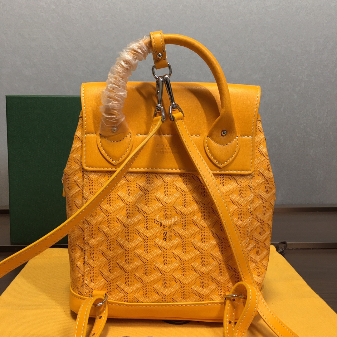 Go*ard backpack
