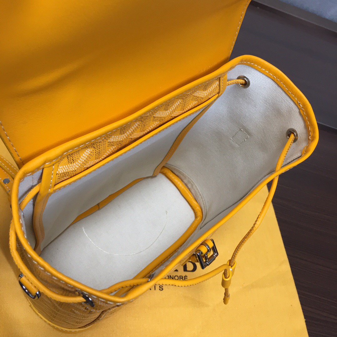 Go*ard backpack
