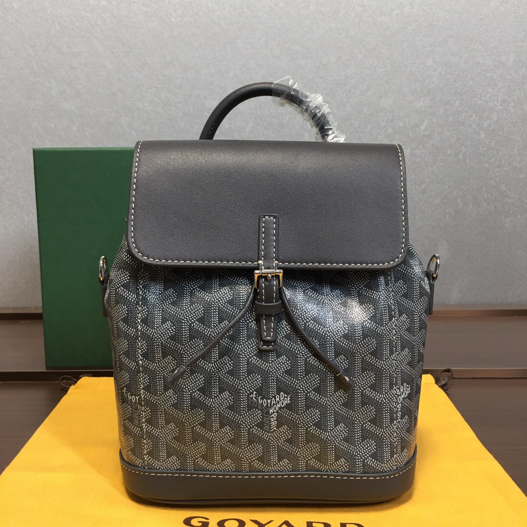Go*ard backpack