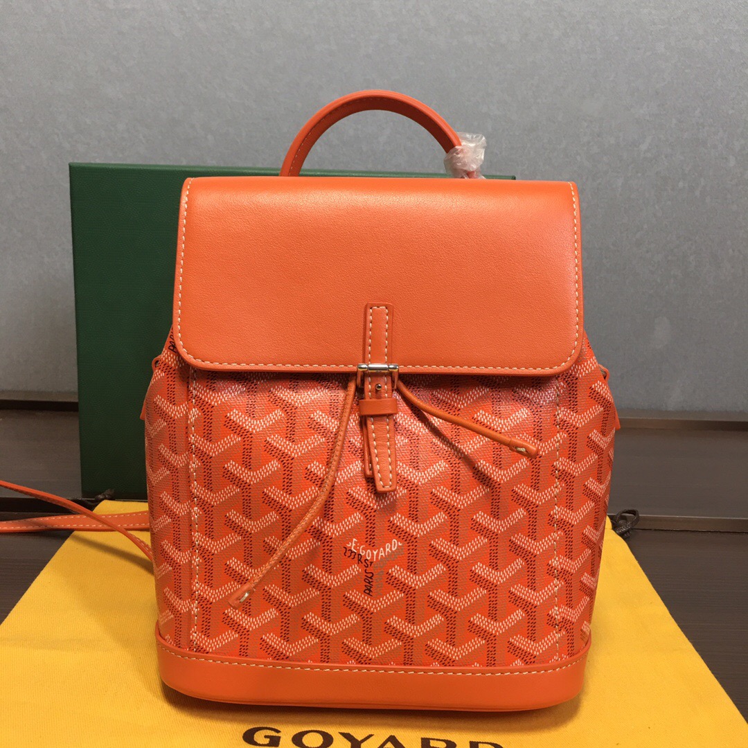 Go*ard backpack
