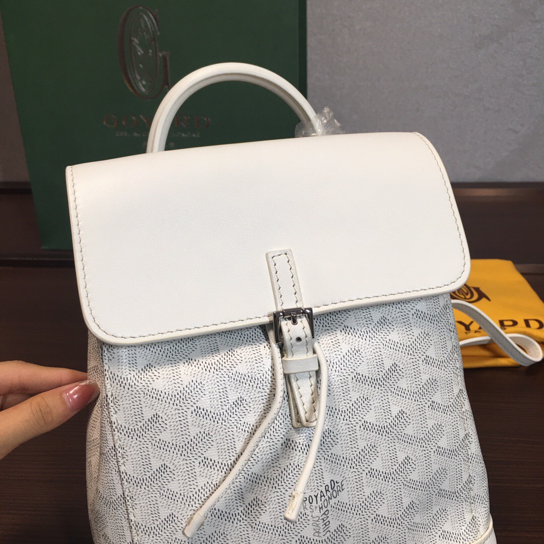 Go*ard backpack