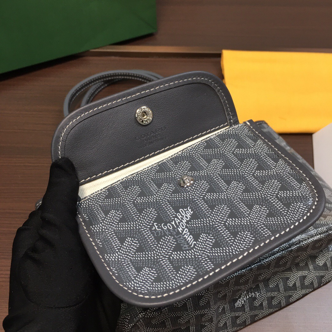 go*ard saint L**is mini tote