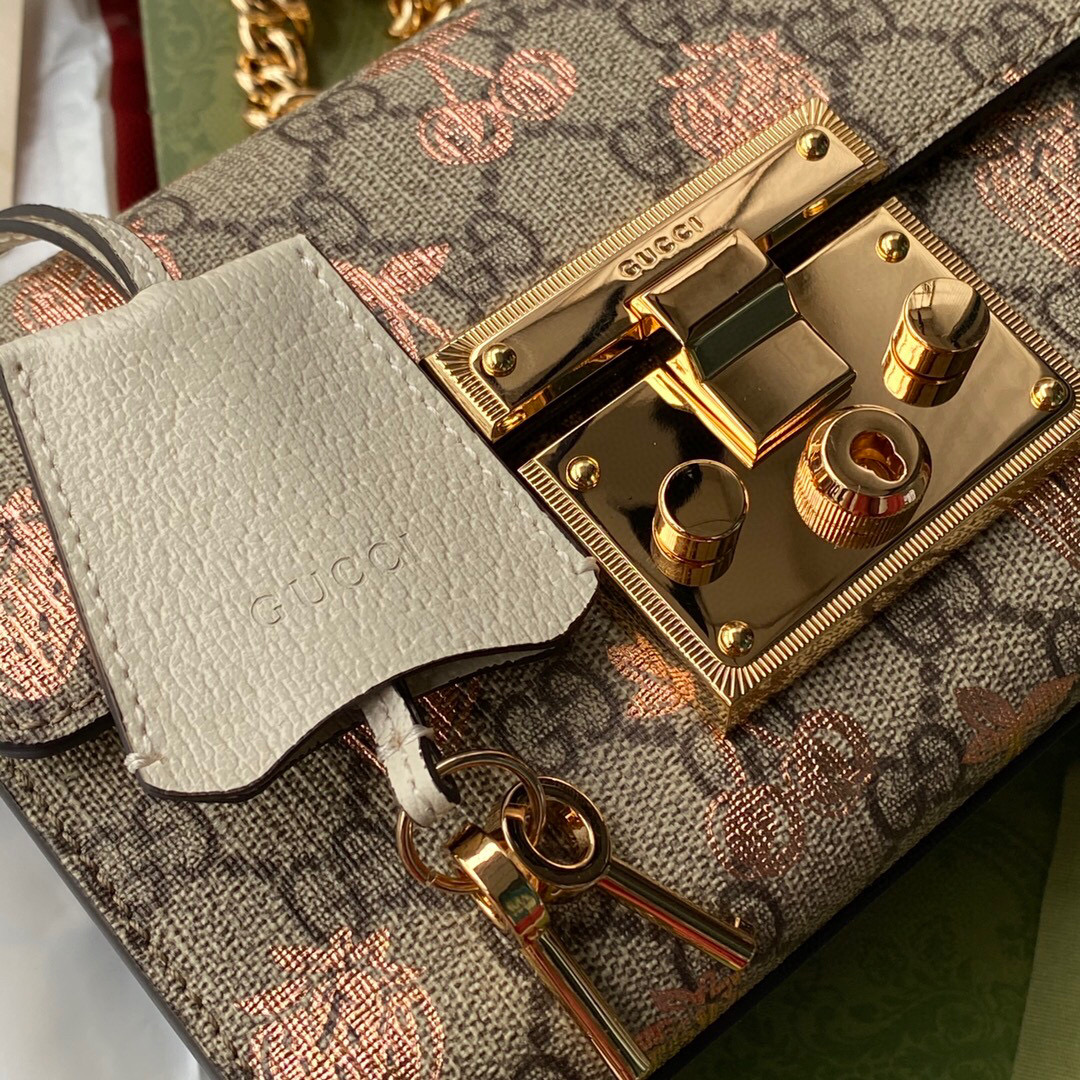 G*u*i padlock