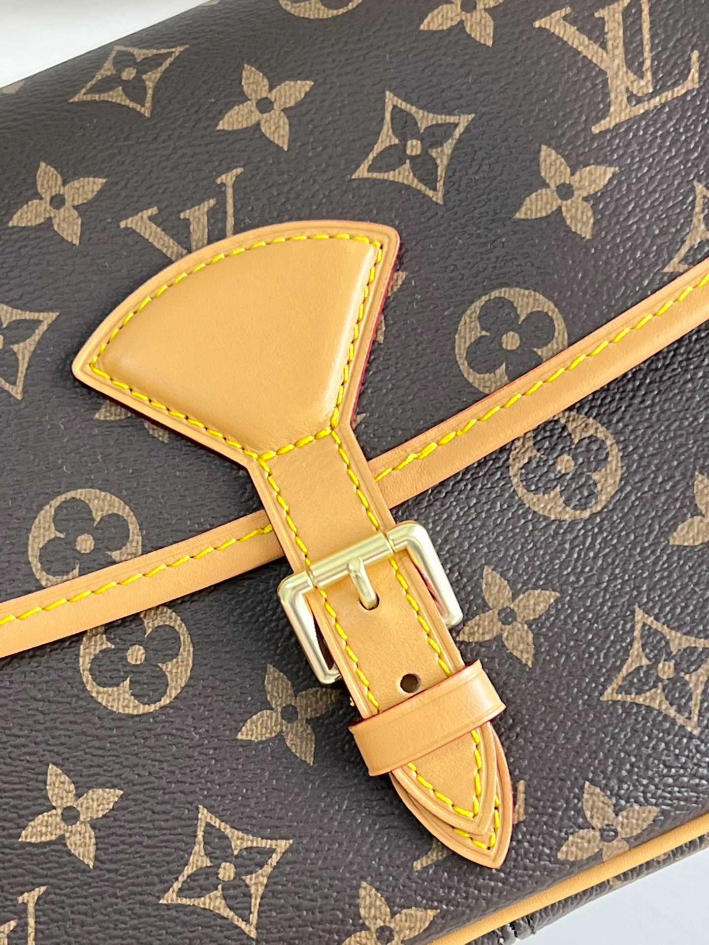 l**is V*t*n vintage bag