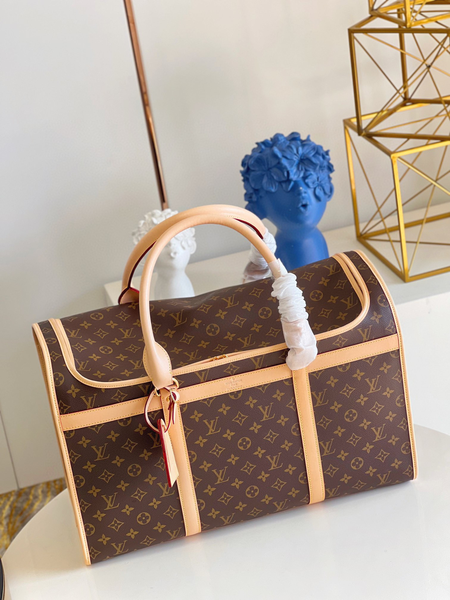 l**is V*t*n dog bag