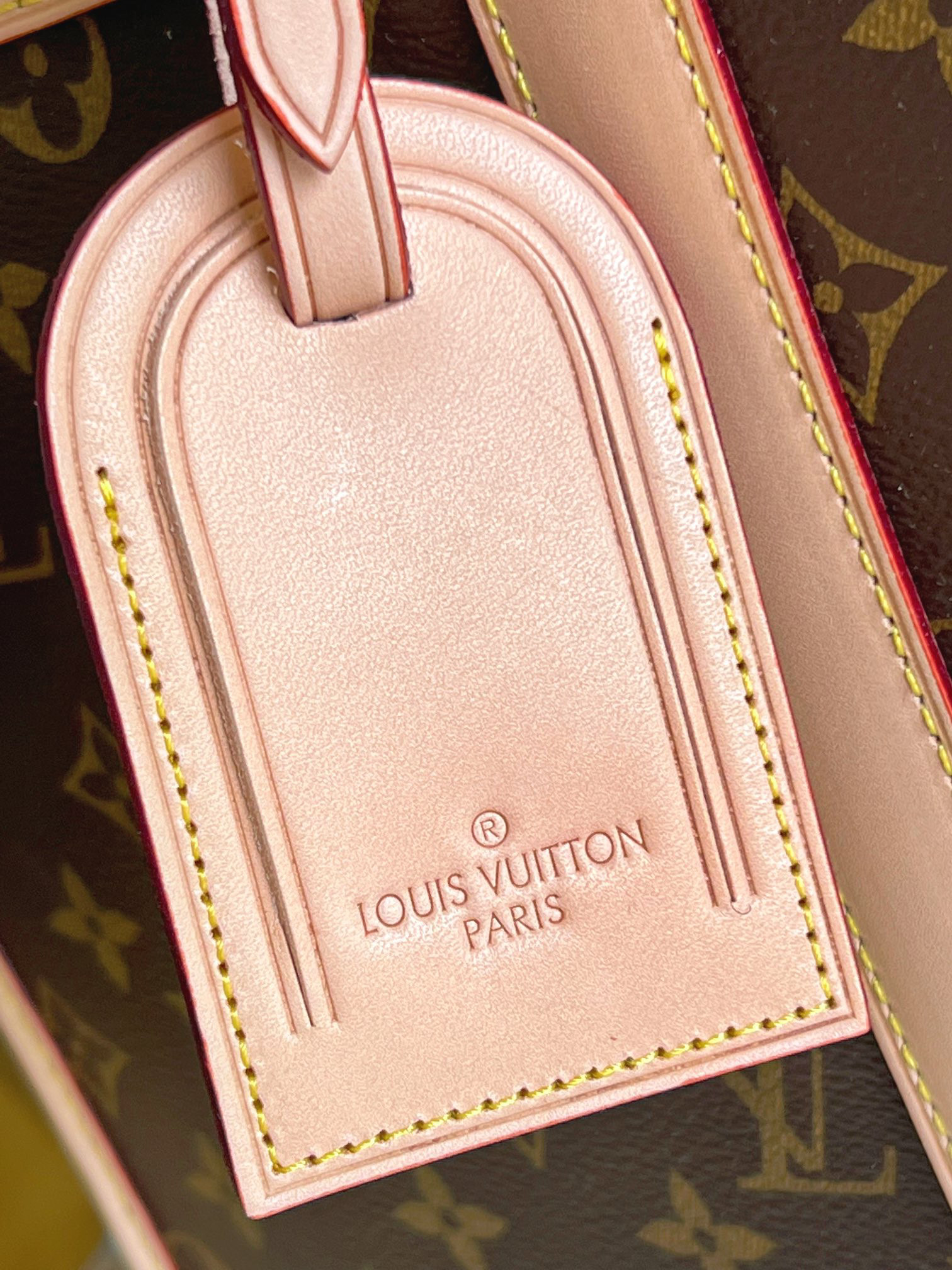 l**is V*t*n dog bag