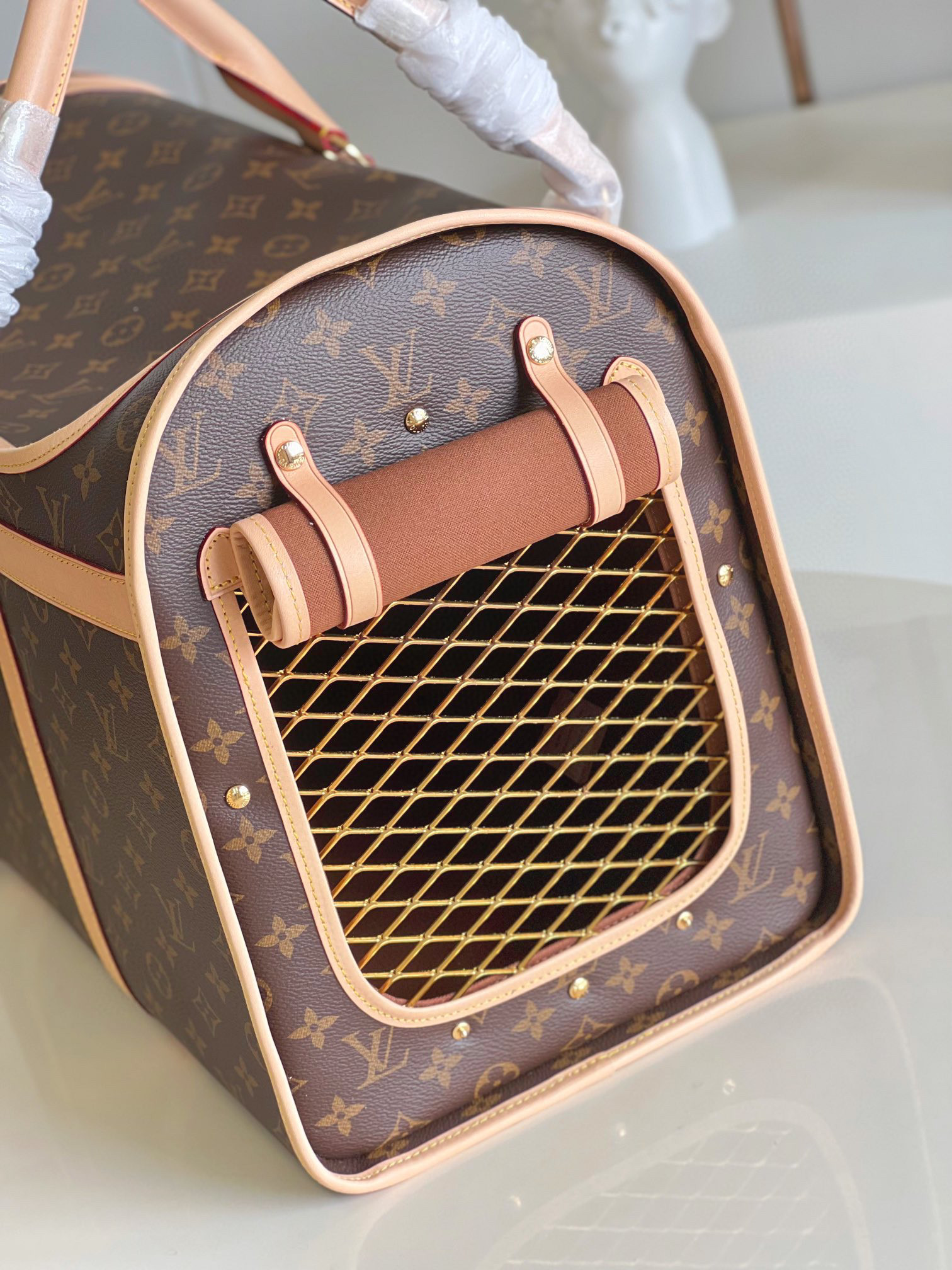 l**is V*t*n dog bag