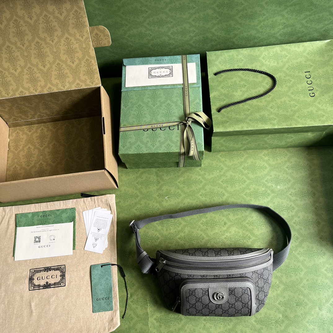 G*u*i ophidia belt bag