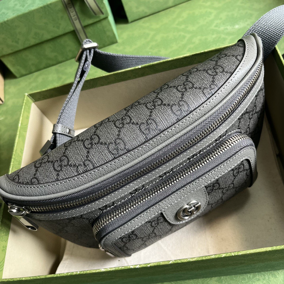 G*u*i ophidia belt bag