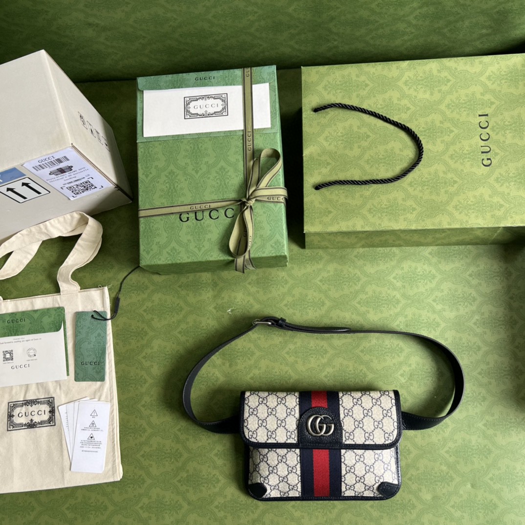 G*u*i ophidia belt bag