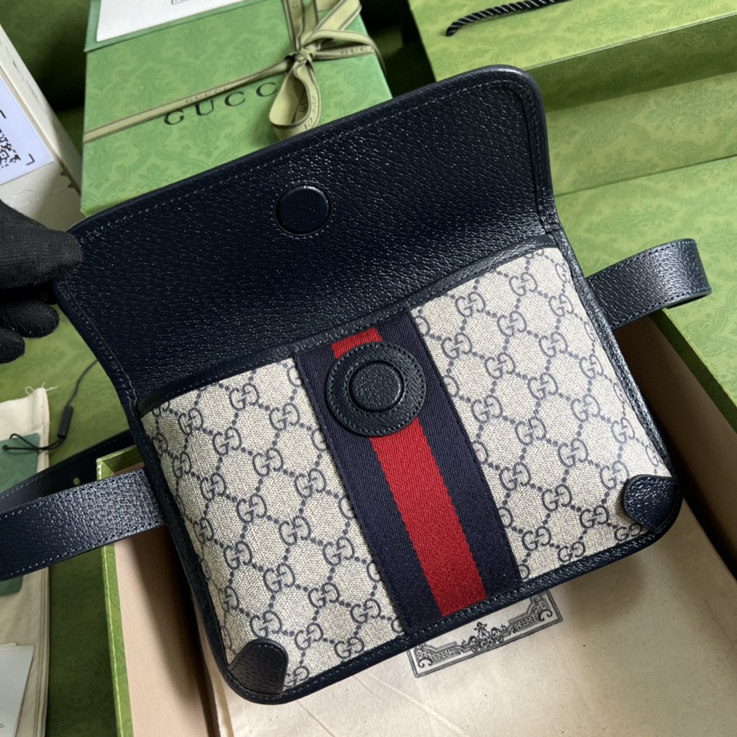 G*u*i ophidia belt bag