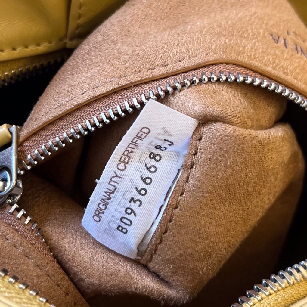bo*te*ga Ve*ne*ta bv arco camera bag