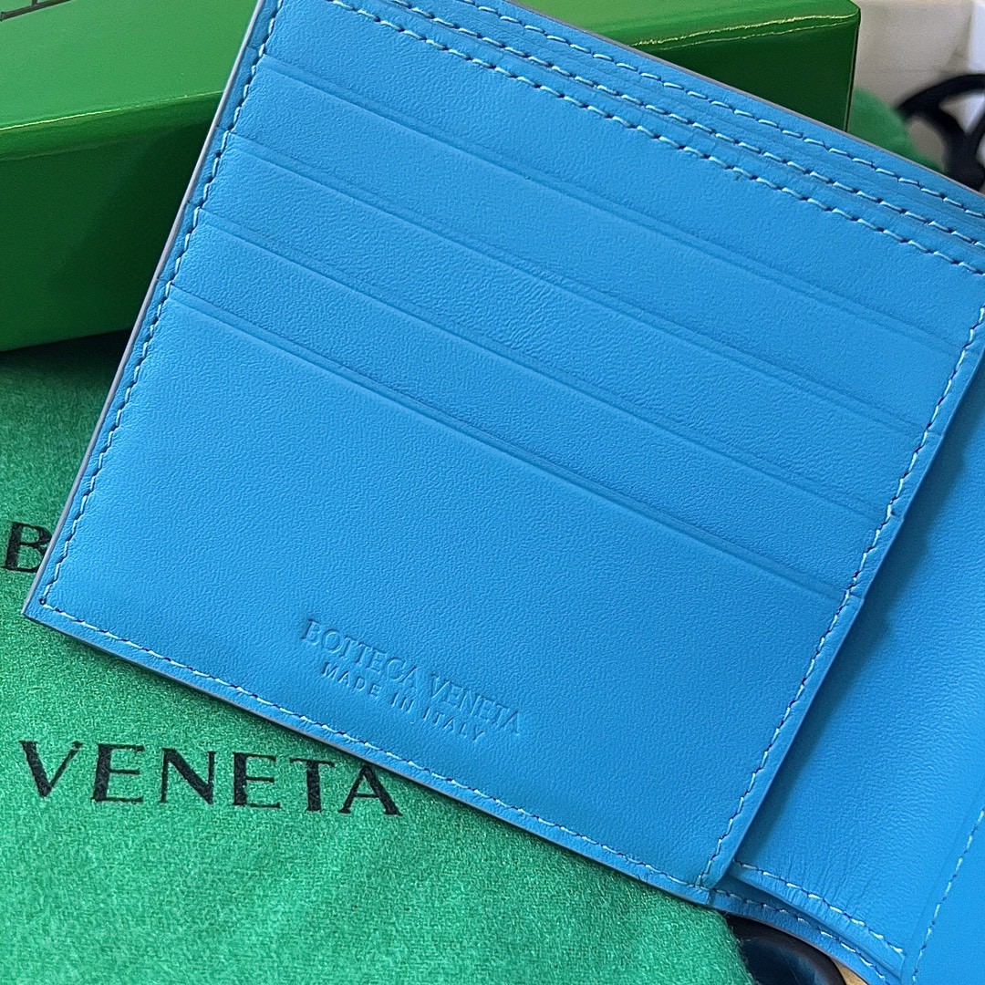 bo*te*ga Ve*ne*ta bv wallet