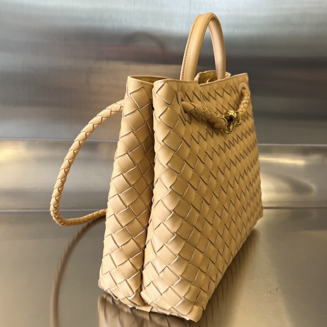 bo*te*ga Ve*ne*ta medium andiamo bag