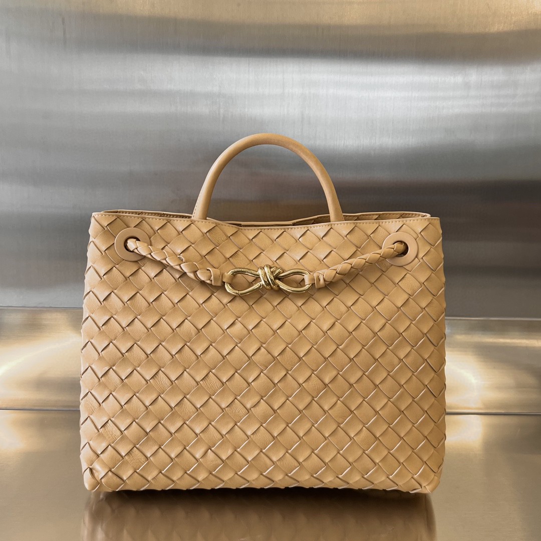 bo*te*ga Ve*ne*ta medium andiamo bag