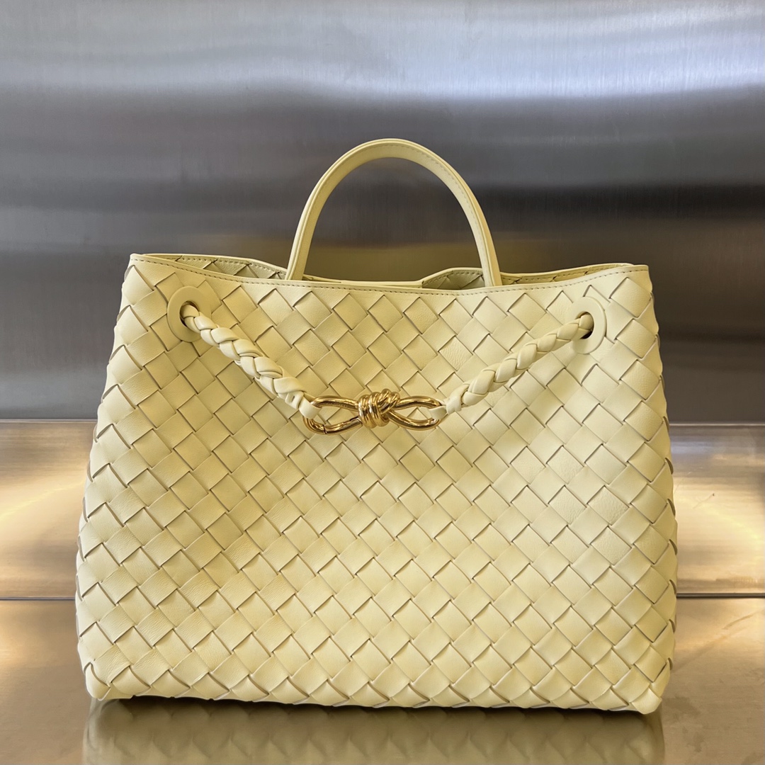 bo*te*ga Ve*ne*ta medium andiamo bag