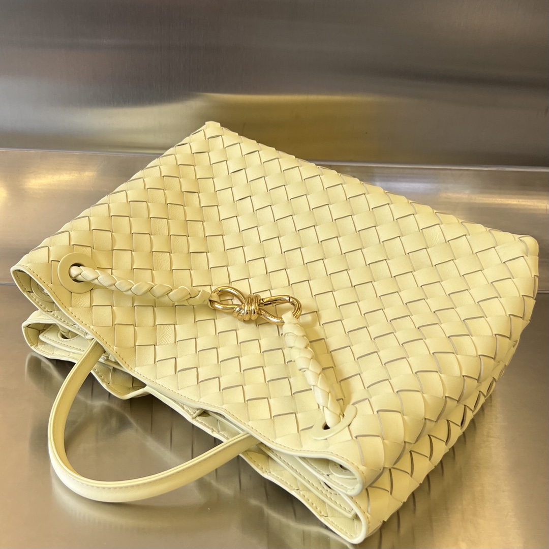 bo*te*ga Ve*ne*ta medium andiamo bag