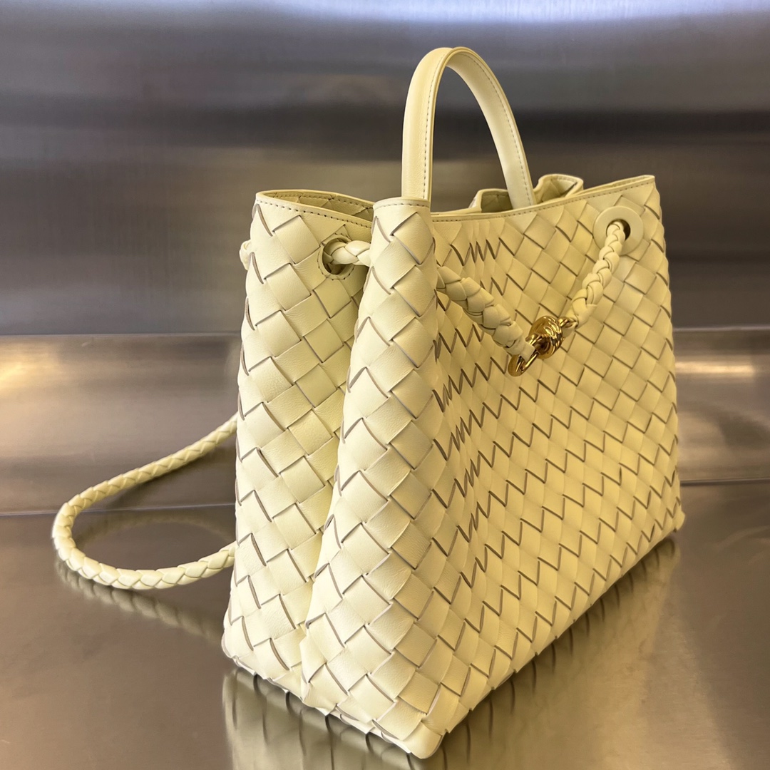 bo*te*ga Ve*ne*ta medium andiamo bag