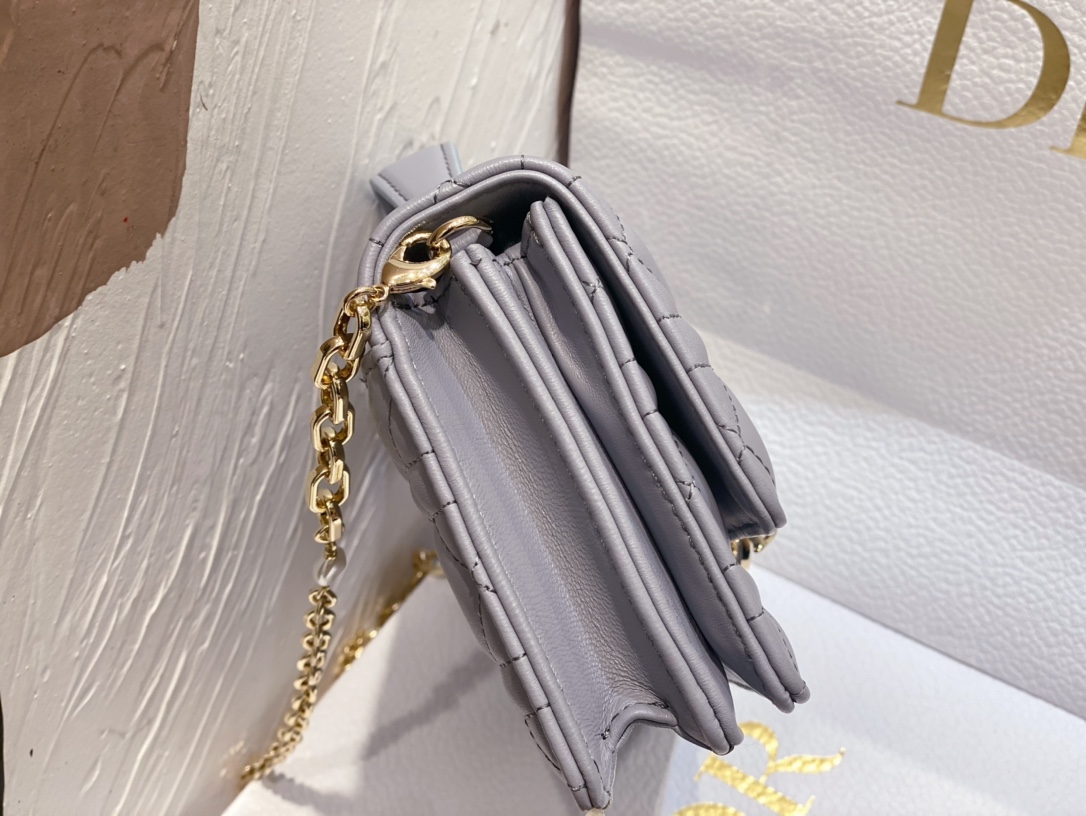 mini miss D*or bag