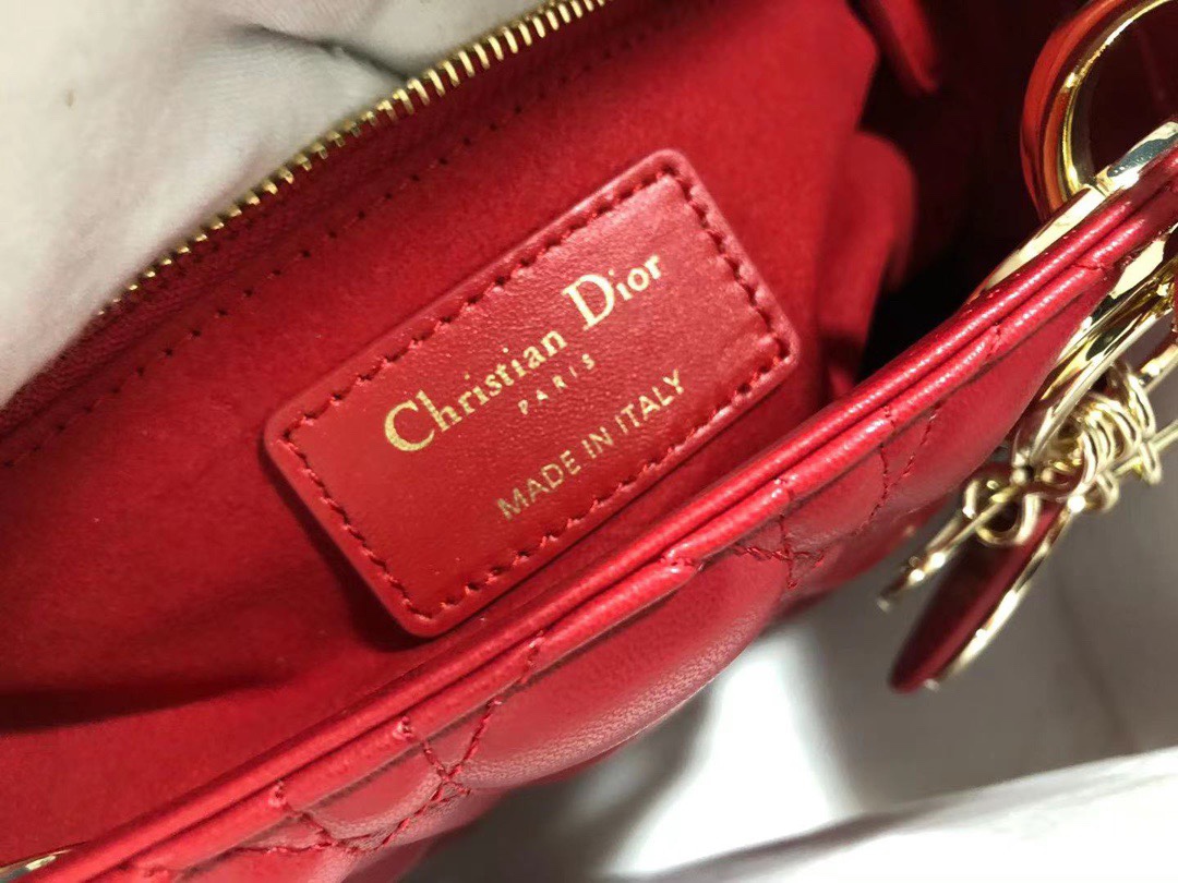 medium lady D*or bag