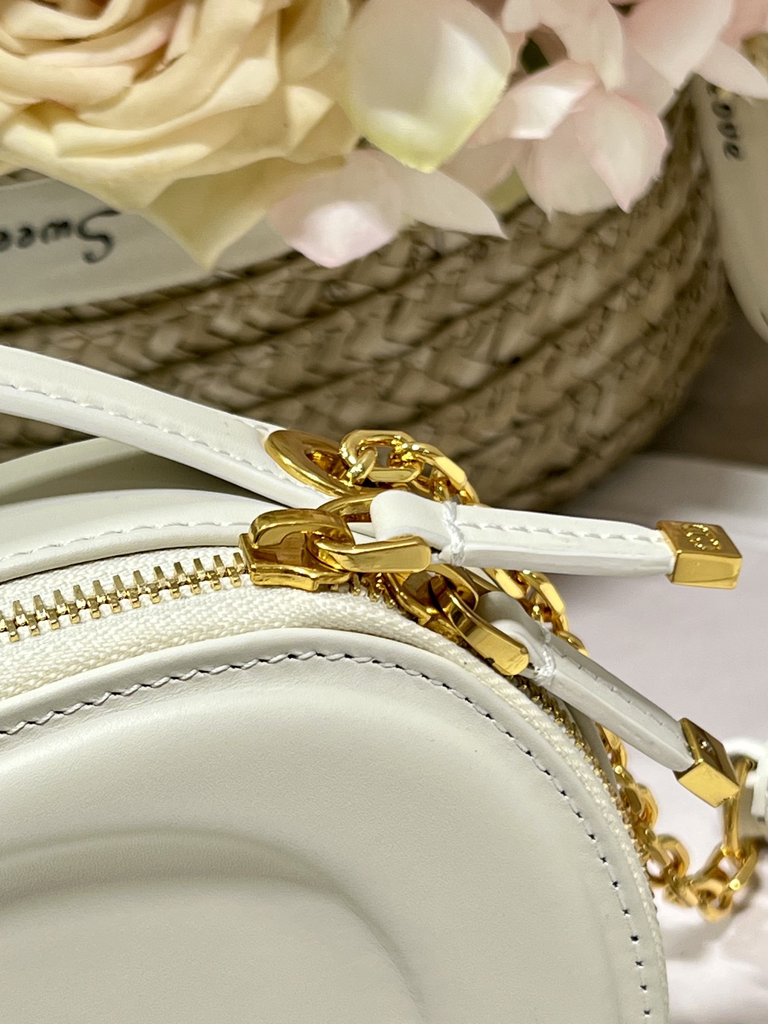 D*or cd signature oval camera bag