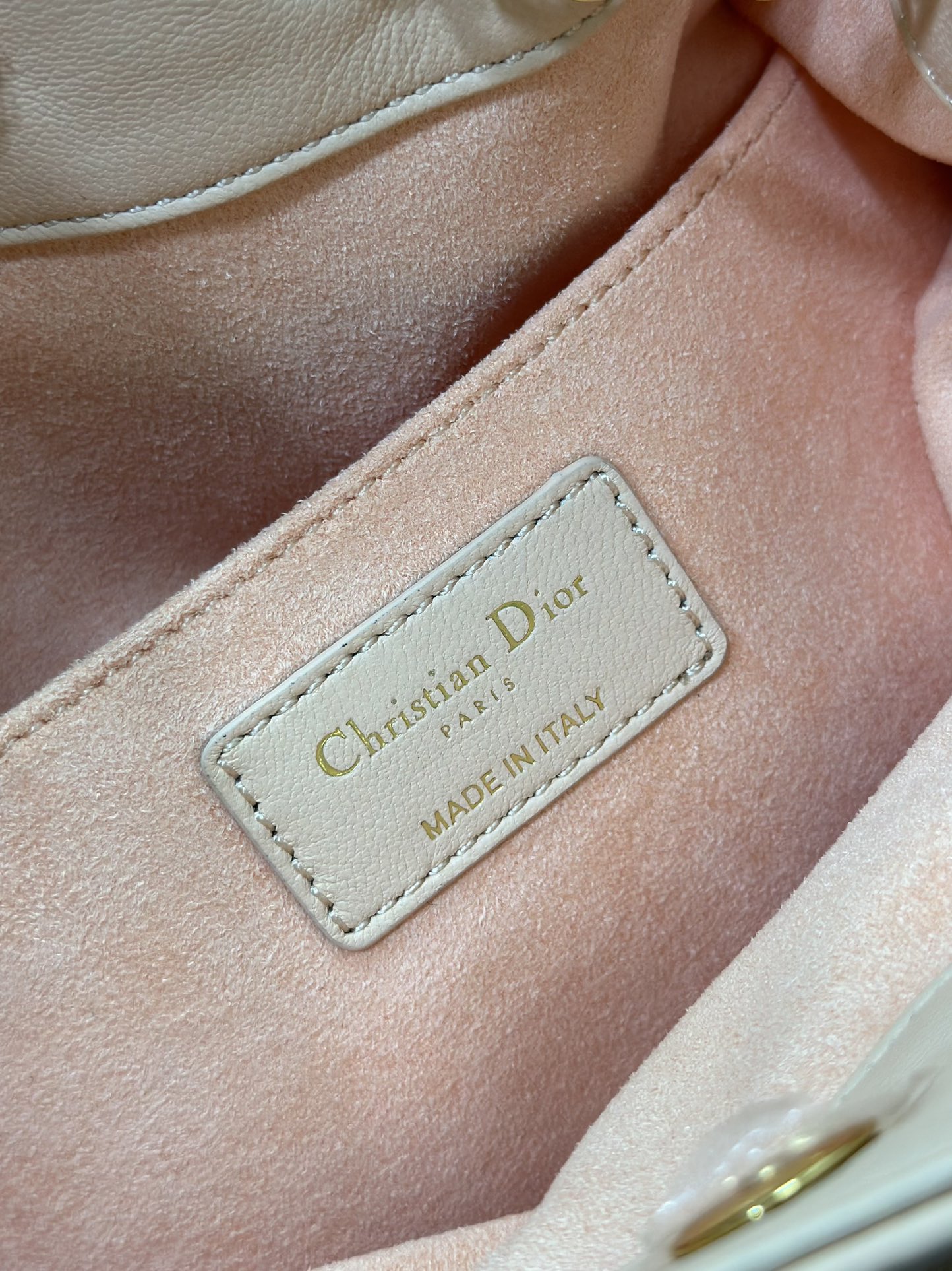 medium D*or ammi bag