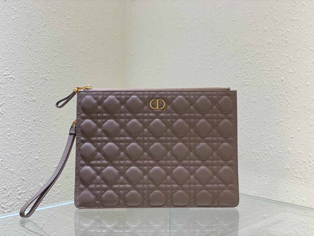large D*or caro daily pouch