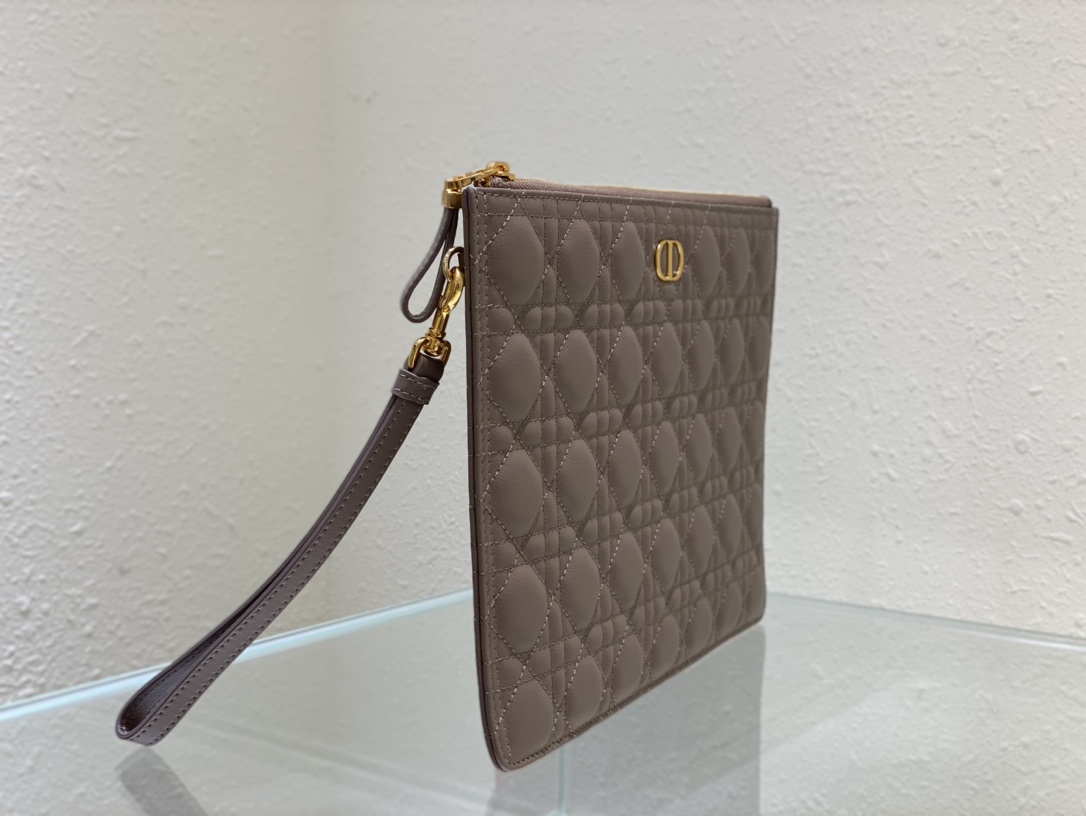 large D*or caro daily pouch