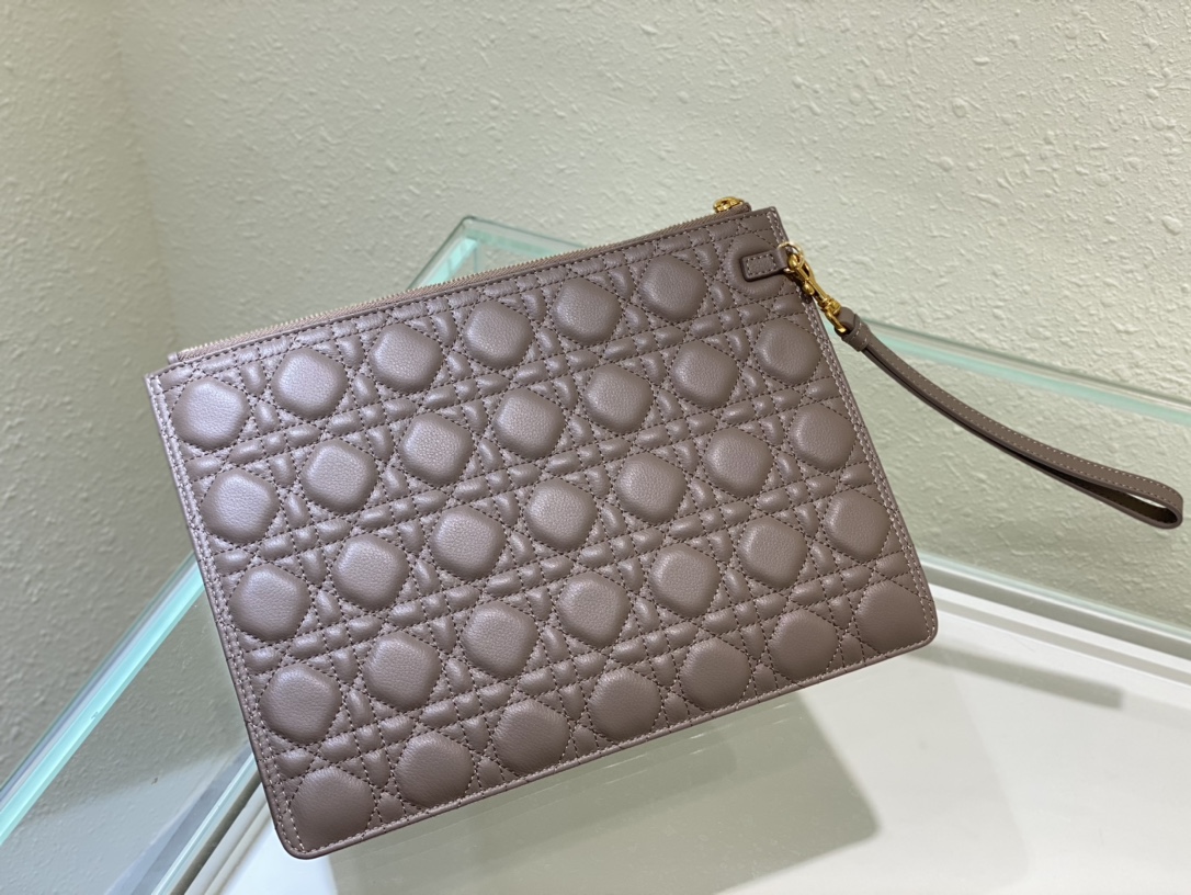 large D*or caro daily pouch