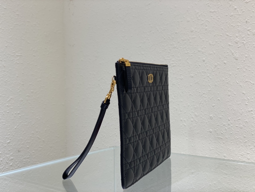 large D*or caro daily pouch