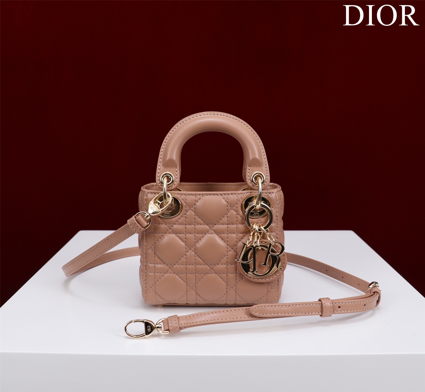 lady D*or micro bag