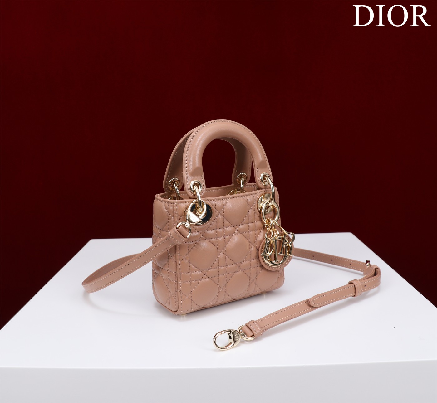 lady D*or micro bag