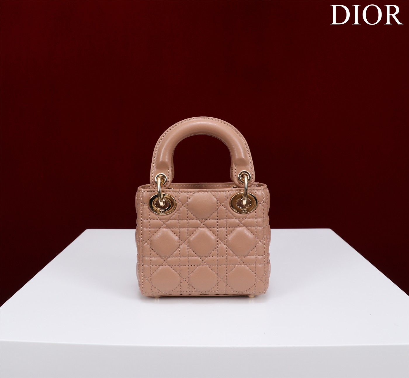 lady D*or micro bag