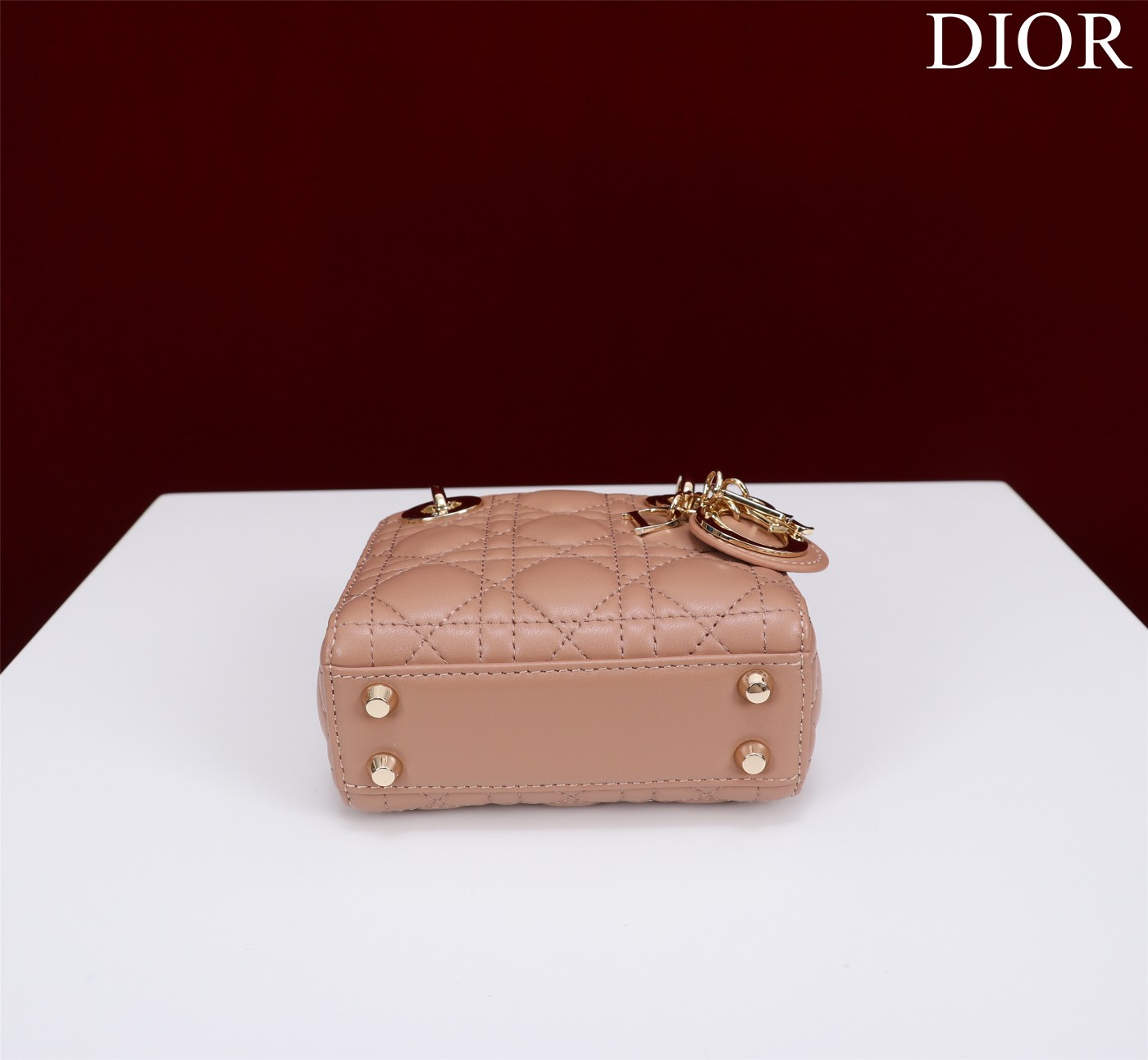 lady D*or micro bag