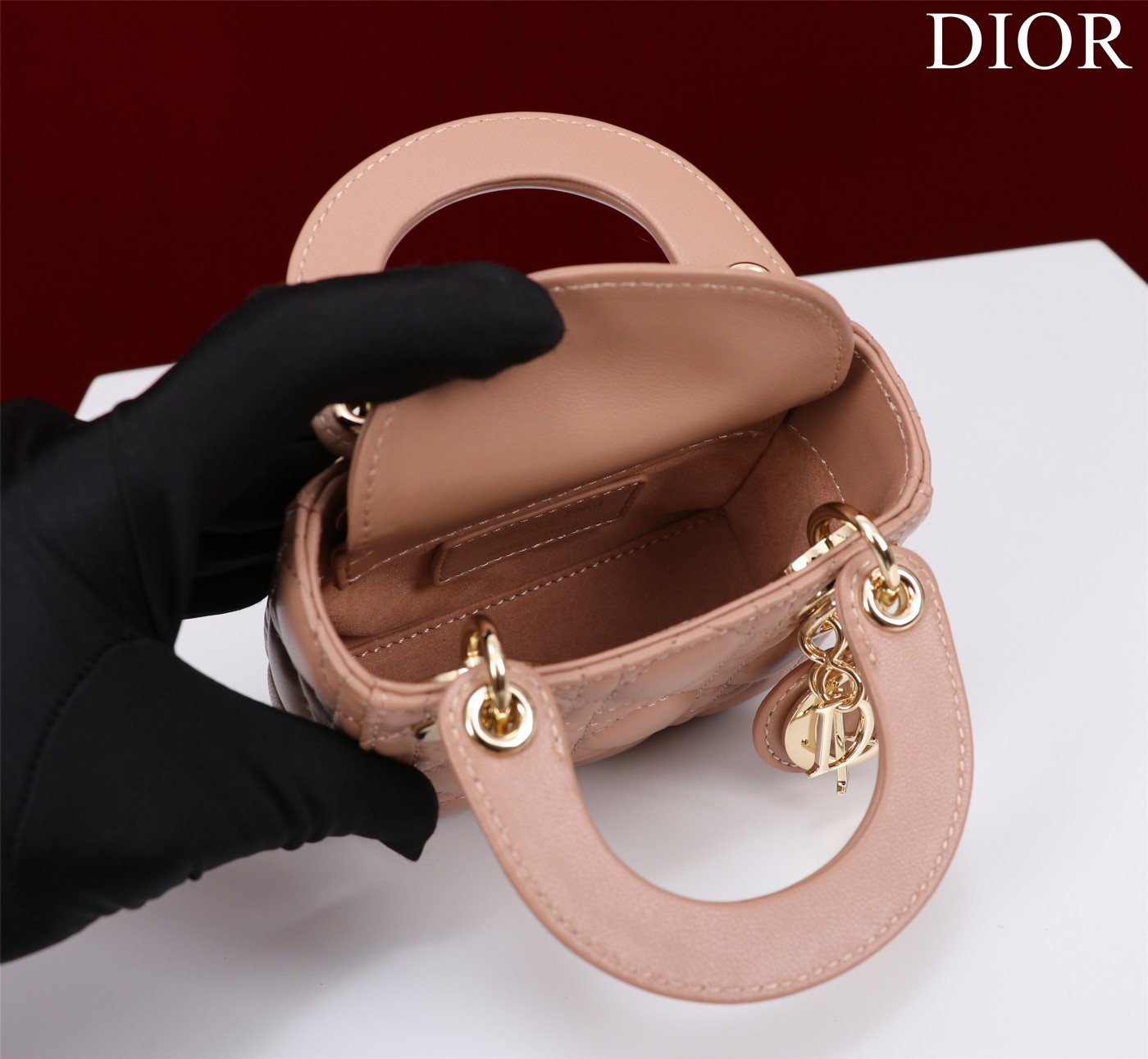 lady D*or micro bag