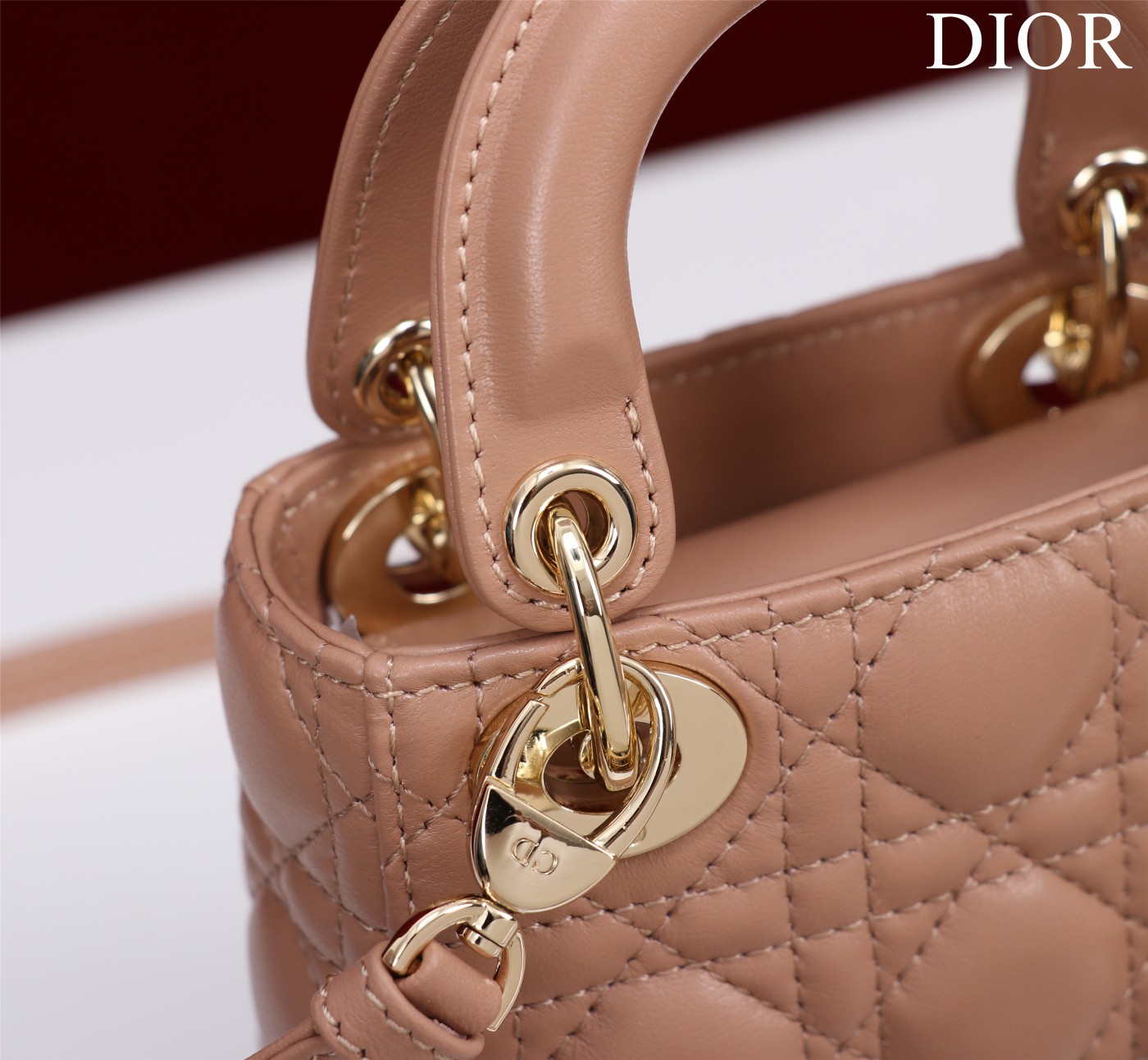 lady D*or micro bag