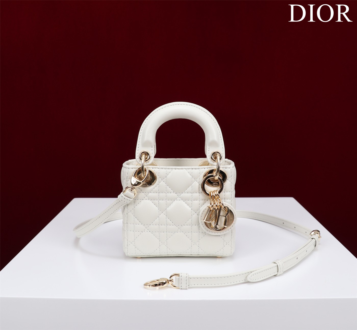 lady D*or micro bag
