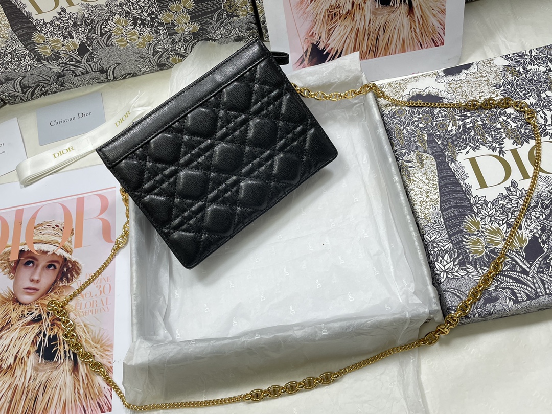 D*or caro zipped pouch with chain