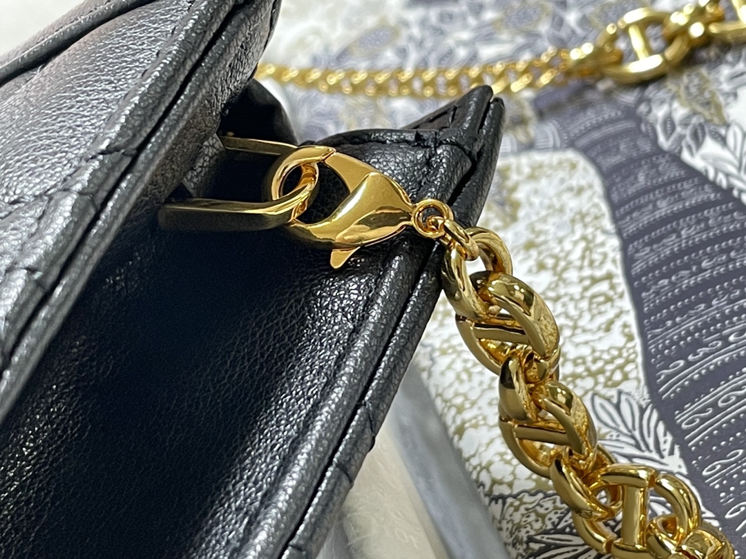 D*or caro zipped pouch with chain