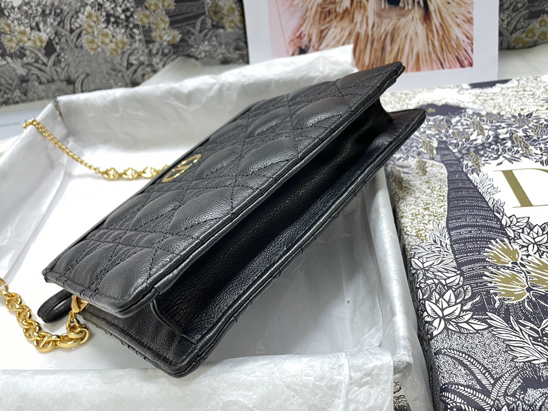 D*or caro zipped pouch with chain