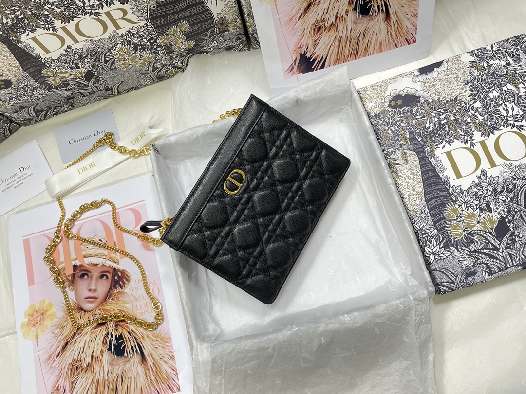 D*or caro zipped pouch with chain