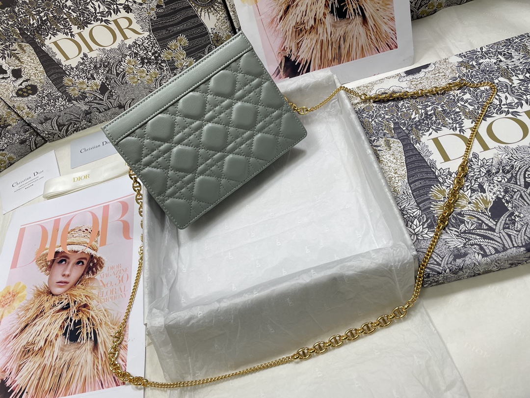 D*or caro zipped pouch with chain