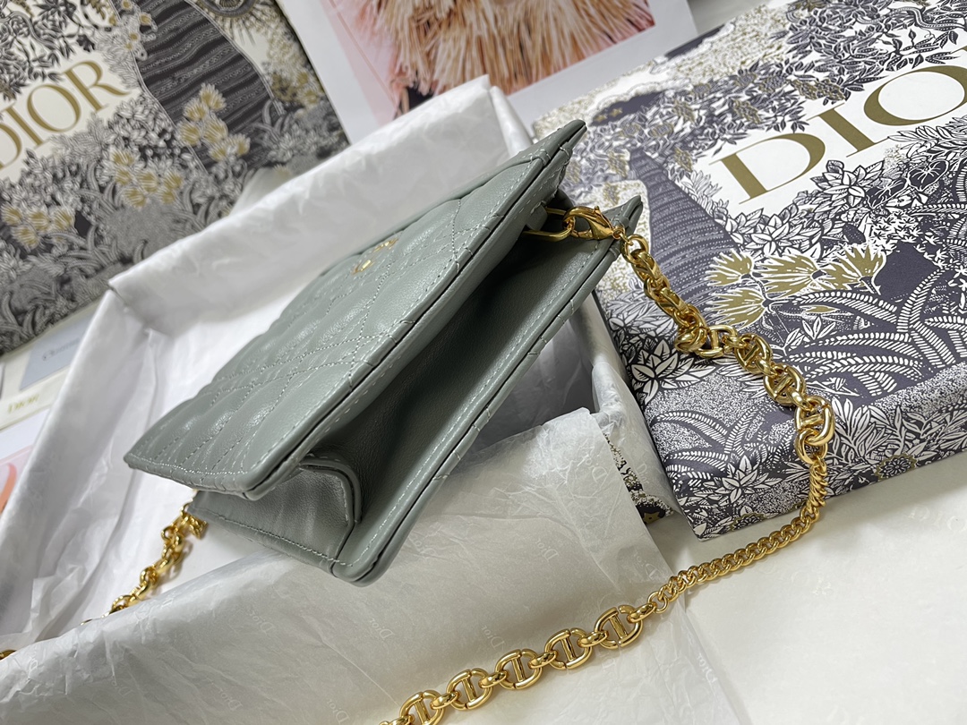 D*or caro zipped pouch with chain